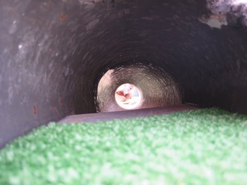 through the log on the mini-golf course